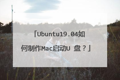 Ubuntu19.04如何制作Mac启动U 盘？