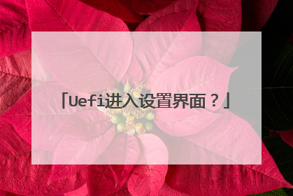 Uefi进入设置界面?