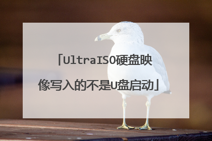 UltraISO硬盘映像写入的不是U盘启动