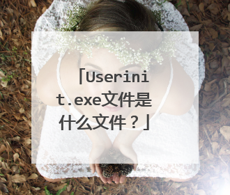 Userinit.exe文件是什么文件?