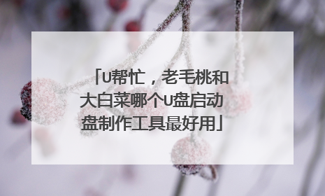 U帮忙,老毛桃和大白菜哪个U盘启动盘制作工具最好用