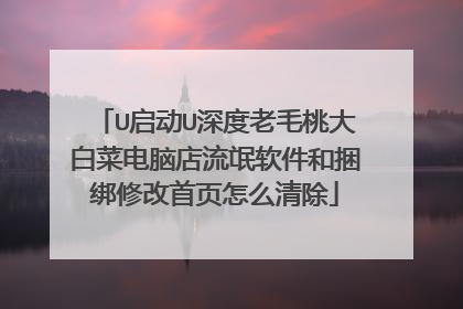 U启动U深度老毛桃大白菜电脑店流氓软件和捆绑修改首页怎么清除