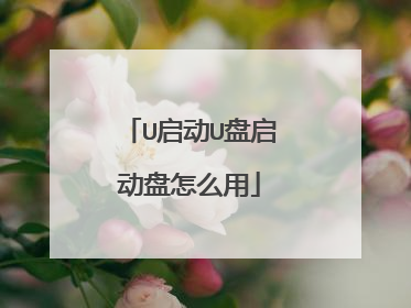 U启动U盘启动盘怎么用