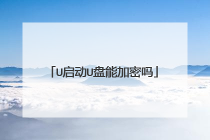 U启动U盘能加密吗