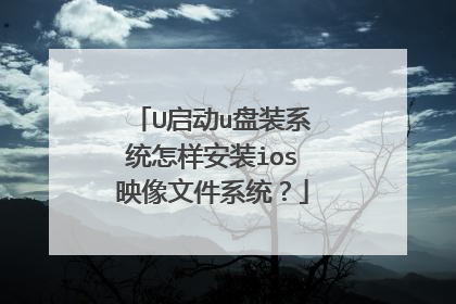 U启动u盘装系统怎样安装ios映像文件系统？