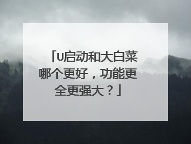 U启动和大白菜哪个更好,功能更全更强大?