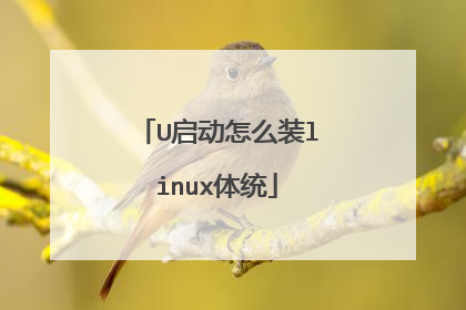 U启动怎么装linux体统