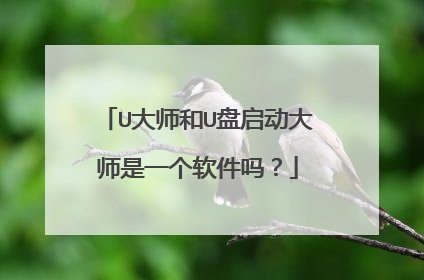 U大师和U盘启动大师是一个软件吗？