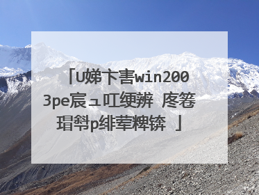 U娣卞害win2003pe宸ュ叿绠辨�庝箞瑁厁p绯荤粺锛�