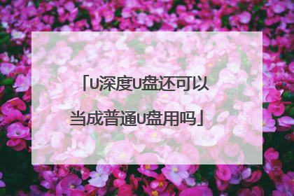 U深度U盘还可以当成普通U盘用吗
