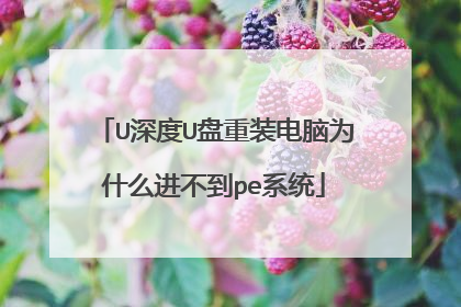U深度U盘重装电脑为什么进不到pe系统