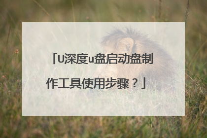 U深度u盘启动盘制作工具使用步骤？