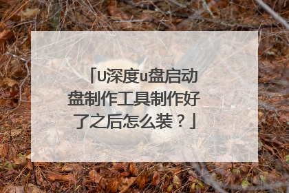 U深度u盘启动盘制作工具制作好了之后怎么装？