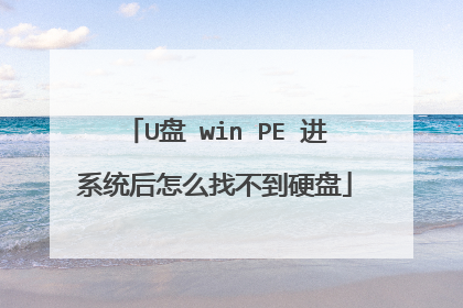 U盘 win PE 进系统后怎么找不到硬盘