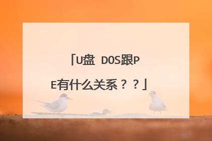 U盘 DOS跟PE有什么关系??