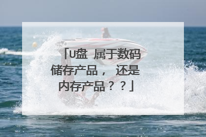 U盘 属于数码储存产品, 还是内存产品??