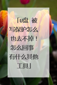 U盘 被写保护怎么也去不掉!怎么回事 有什么其他工具