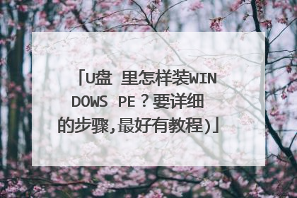 U盘 里怎样装WINDOWS PE?要详细的步骤,最好有教程)