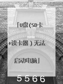 U盘(SD卡+读卡器）无法启动电脑