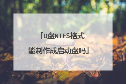 U盘NTFS格式能制作成启动盘吗