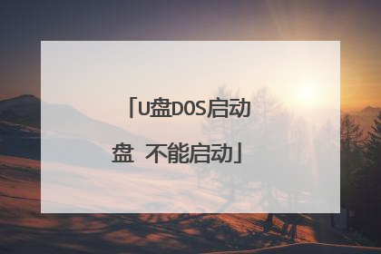 U盘DOS启动盘 不能启动