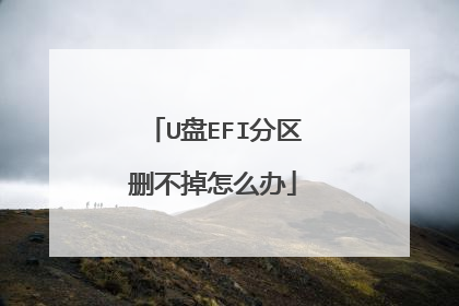 U盘EFI分区删不掉怎么办