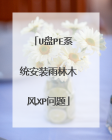 U盘PE系统安装雨林木风XP问题