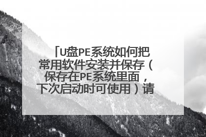 U盘PE系统如何把常用软件安装并保存（保存在PE系统里面，下次启动时可使用）请高手指点。