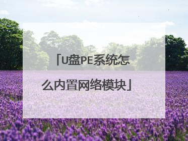 U盘PE系统怎么内置网络模块