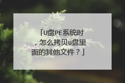U盘PE系统时，怎么拷贝u盘里面的其他文件？