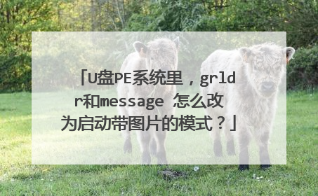 U盘PE系统里,grldr和message 怎么改为启动带图片的模式?