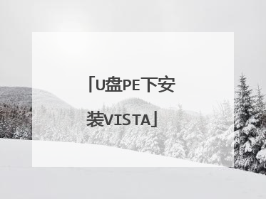 U盘PE下安装VISTA