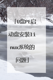 U盘PE启动盘安装linux系统的问题