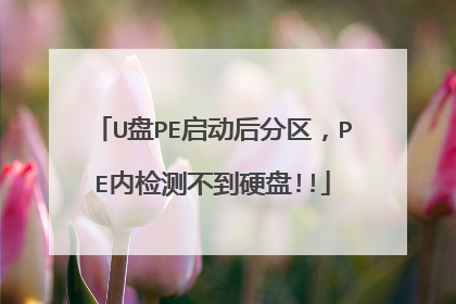 U盘PE启动后分区，PE内检测不到硬盘!!