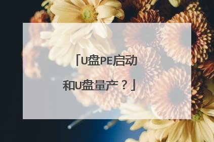 U盘PE启动和U盘量产?