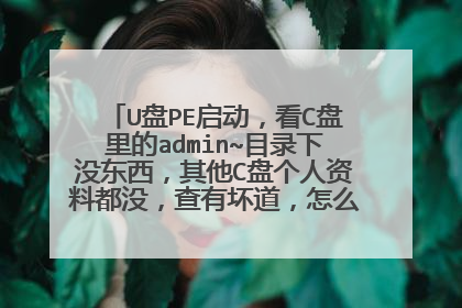 U盘PE启动,看C盘里的admin~目录下没东西,其他C盘个人资料都没,查有坏道,怎么取C盘资料?