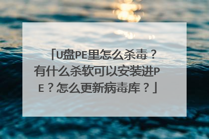 U盘PE里怎么杀毒？有什么杀软可以安装进PE？怎么更新病毒库？
