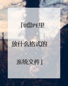 U盘PE里放什么格式的系统文件