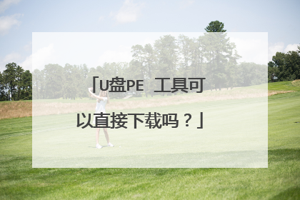 U盘PE 工具可以直接下载吗?