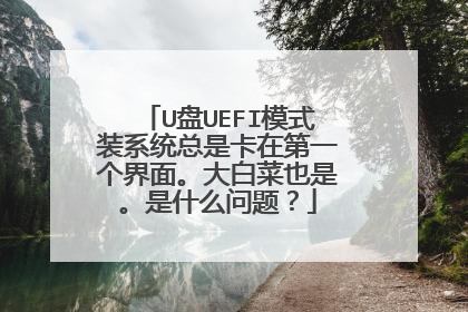 U盘UEFI模式装系统总是卡在第一个界面。大白菜也是。是什么问题？