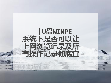 U盘WINPE系统下是否可以让上网浏览记录及所有操作记录彻底查不出来？