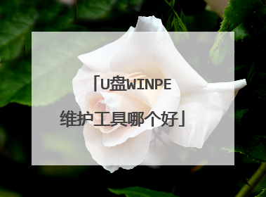 U盘WINPE维护工具哪个好