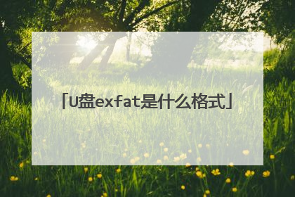 U盘exfat是什么格式