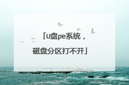 U盘pe系统，磁盘分区打不开