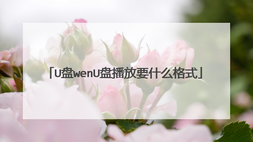 U盘wenU盘播放要什么格式