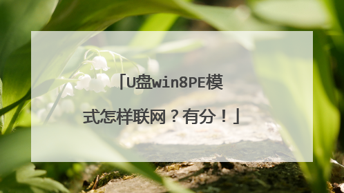 U盘win8PE模式怎样联网?有分!