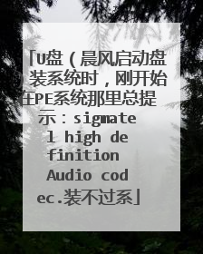 U盘(晨风启动盘)装系统时,刚开始在PE系统那里总提示:sigmatel high definition Audio codec.装不过系