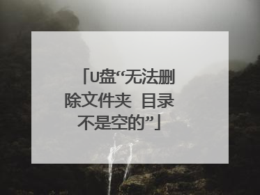 U盘“无法删除文件夹 目录不是空的”
