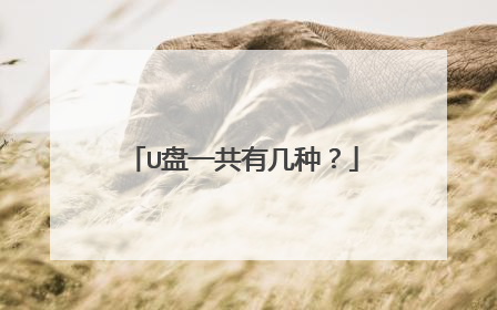 U盘一共有几种？