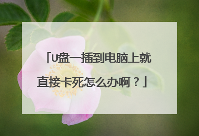 U盘一插到电脑上就直接卡死怎么办啊？